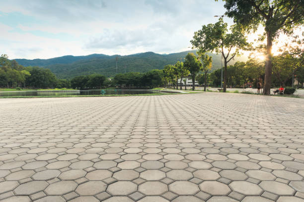 Best Driveway Paving Company  in Silver Firs, WA