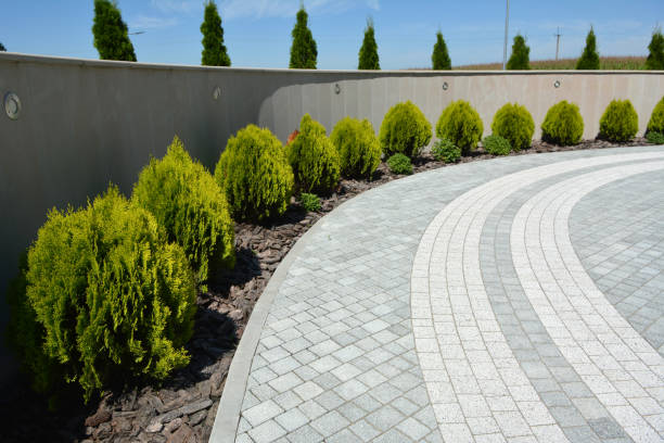 Best Custom Driveway Pavers  in Silver Firs, WA